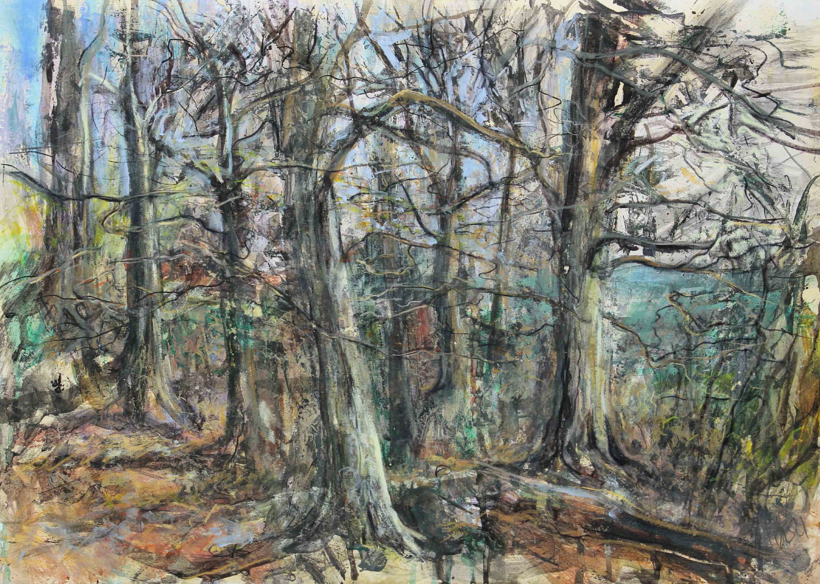 Beechwood. Mixed media drawing. 50x70cm