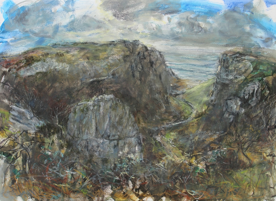 Mewslade. Mixed media. 56x76cm.